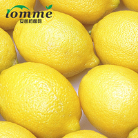 四川特产原产地安岳尤力克黄柠檬新鲜水果特大果水份充足3斤裝