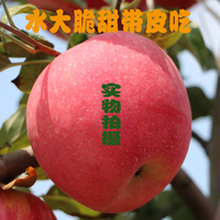 陕西洛川新鲜红富士苹果5斤包邮水果 孕妇有机水晶苹果特价批发