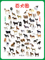 高清大幅百犬图宠物狗识别图宠物店装饰画画芯海报可发图订做132