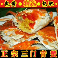 三门青蟹大红膏蟹母螃蟹鲜活海蟹新鲜海鲜 1只1斤重 包邮顺丰