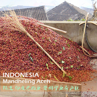 印度尼西亚 亚齐地区 曼特宁庄园进口咖啡豆咖啡Aceh Mandhailing