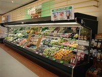 厂家直销  超市冷柜 水果店专用保鲜柜  水果保鲜柜 风幕柜 冷柜