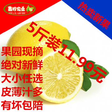 四川特产安岳黄柠檬新鲜水果 特价丑果榨汁 做酵素皮薄汁多5斤装