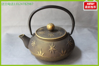 浩聚宝铁壶铸铁壶无涂层铁茶壶日本铁壶南部老铁壶金色枫叶茶壶