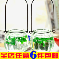 水培花瓶 南瓜玻璃花瓶 方便实用小吊瓶插花玻璃花瓶 配送铁环