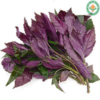 幸福农庄 农场配送 有机蔬菜 通过认证 新鲜紫背天葵 血皮菜250g