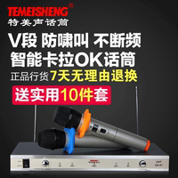 特美声Temeisheng SN-01无线话筒一拖二家用KTV用专业无线麦克风