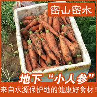 【买一送一】密云蔬菜胡萝卜有机肥应季蔬菜含各种微量元素小人参