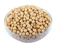 豆浆专用-15年陕北农家自种新有机黄豆非转基因大豆农家大黄豆