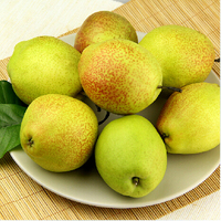 【麦悦多】新疆库尔勒香梨   一级果品质 脆甜水足