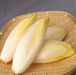 新鲜蔬菜 玉兰菜 比利时生菜 金玉兰 欧洲菊苣  26.00/斤