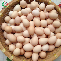 稔子鸡初生蛋 100%农家土鸡蛋 新鲜散养纯天然柴鸡蛋 50枚装包邮