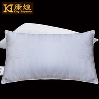 康煌 正品高档护颈蚕丝枕头/枕芯含100%桑蚕丝 床上用品枕芯 单个