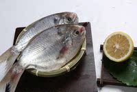 【澎友】南鲳鱼 原味 500g