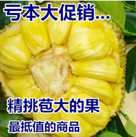 菠萝蜜 木菠萝 新鲜水果 特价包邮_马来西亚干苞