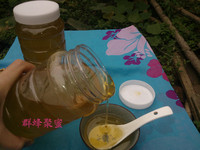 纯天然 荔枝蜂蜜500g（农家自产）包邮