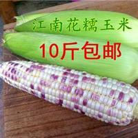 安徽土特产 江南新鲜农家花糯玉米带皮玉米棒 香糯可口 非转基因