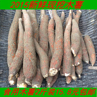 2015食用广西防城港特产有机新鲜木薯树木黄肉糯米木薯超香粉包邮