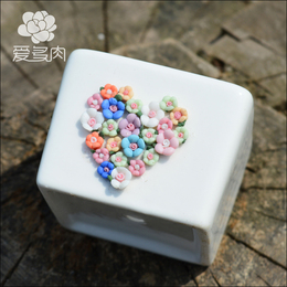 【定制】iDUOROU 多肉花盆 陶瓷花盆 花器 白色方形 创意花盆