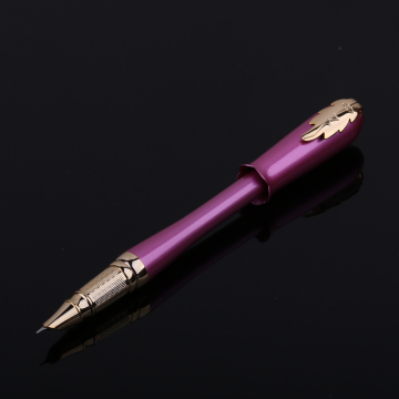 毕加索钢笔正品986艾琳金属0.38特细财务笔练字钢笔女士礼品