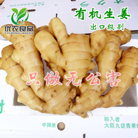 有机新鲜老姜大姜 生姜原始点用姜绿色无公害 月子姜 500g
