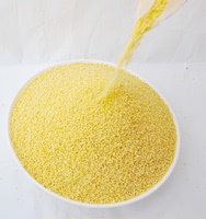 2015年新米月子米有机黄小米小黄米五谷杂粮营养米熬小米粥