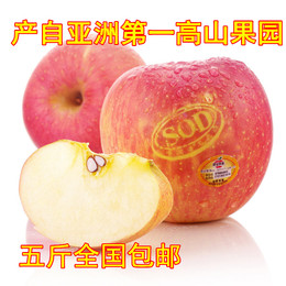 河南特产灵宝苹果新鲜水果SOD红富士苹果5斤特价包邮