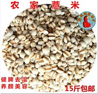 广西桂平特产散装五谷杂粮 中国好薏米有机小薏米薏米500克