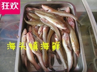 海货 海鲜 沙光鱼 海鱼、沙逛鱼、鲜活水产、原价28元 特价