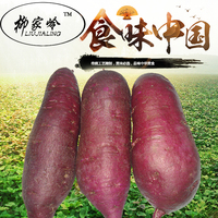 新鲜紫薯沙地有机肥种植柳氏红薯产地直销农家自种自产自销甜9斤