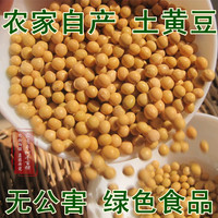 沧州农家土黄豆 有机杂粮特级非转基因豆子种子 打豆浆发豆芽专用