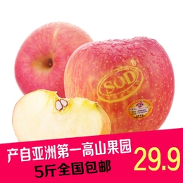 河南特产灵宝苹果新鲜水果SOD红富士绿色有机苹果5斤特价包邮