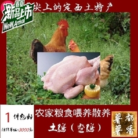 包邮农家特产散养土鸡新鲜整鸡虫草鸡一年以上正宗笨鸡真空冷藏