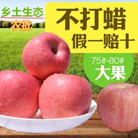 烟台红富士有机苹果新鲜水果苹果脆甜多汁水果园栖霞苹果5斤包邮