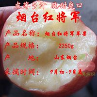 正宗山东烟台苹果红将军天然有机栖霞苹果新鲜孕妇水果4.5斤包邮