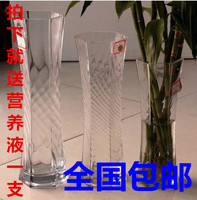 室内简约水培富贵竹花瓶玻璃花瓶透明大号干花植物花卉插花瓶器皿