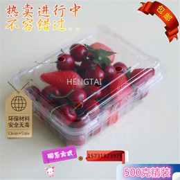 透明塑料包装盒草莓水果盒子一次性透明保鲜果蔬盒鲜果切葡萄包邮
