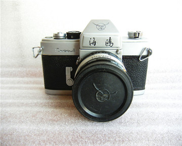 海鸥DF1带58/2 鸟头 老款早期胶片相机成色新收藏汉字版 有皮套