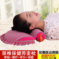 【天天特价】老粗布颈椎枕头成人荞麦保健枕修复护颈枕荞麦皮枕芯