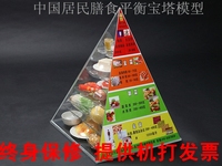 营养指导食物模型 中国居民膳食平衡宝塔食物模型 食物交换份模型