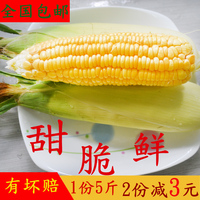 广西特产农家自种新鲜现摘水果玉米甜玉米新鲜甜脆玉米棒5斤包邮