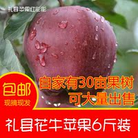 2016新鲜水果蛇果香甜脆花牛苹果天水礼县苹果6斤装送礼必备包邮