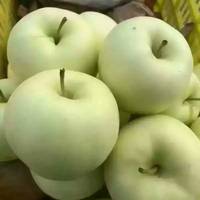全国包邮礼县苹果水果黄元帅现摘果园直发7075单品净重10斤24个装