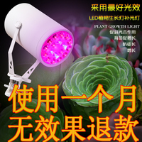 LED植物生长灯 大棚室内花奔育苗灯 发财树茎叶多肉类植物补光灯