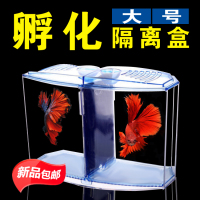 鱼苗繁殖盒孔雀鱼孵化盒鱼缸斗鱼 多功能隔离盒产鱼孵化器 大号