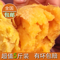 广西农家特产红薯正香薯鸡蛋黄心番薯新鲜甜薯地瓜山芋5斤包邮
