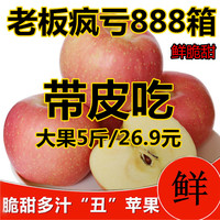 现摘新鲜纯天然红富士苹果水果5斤包邮山东特产非烟台洛川苹果