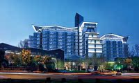江苏常州环球恐龙城维景国际大酒店 预定 高级房