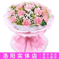 洛阳同城鲜花速递 特价母亲节礼物粉色康乃馨 生日花束鲜花店送花