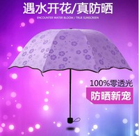 创意晴雨伞遇水开花防晒黑胶小黑伞防紫外线太阳伞女士遮阳折叠伞